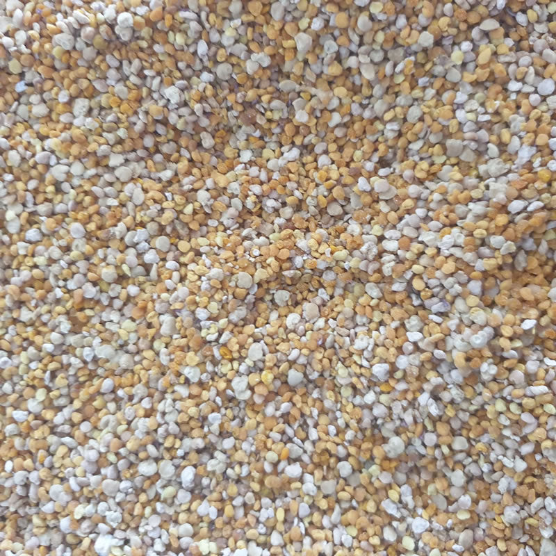 Bee Pollen 100g