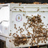 10-frame bee hive (box, base, and lid not included)