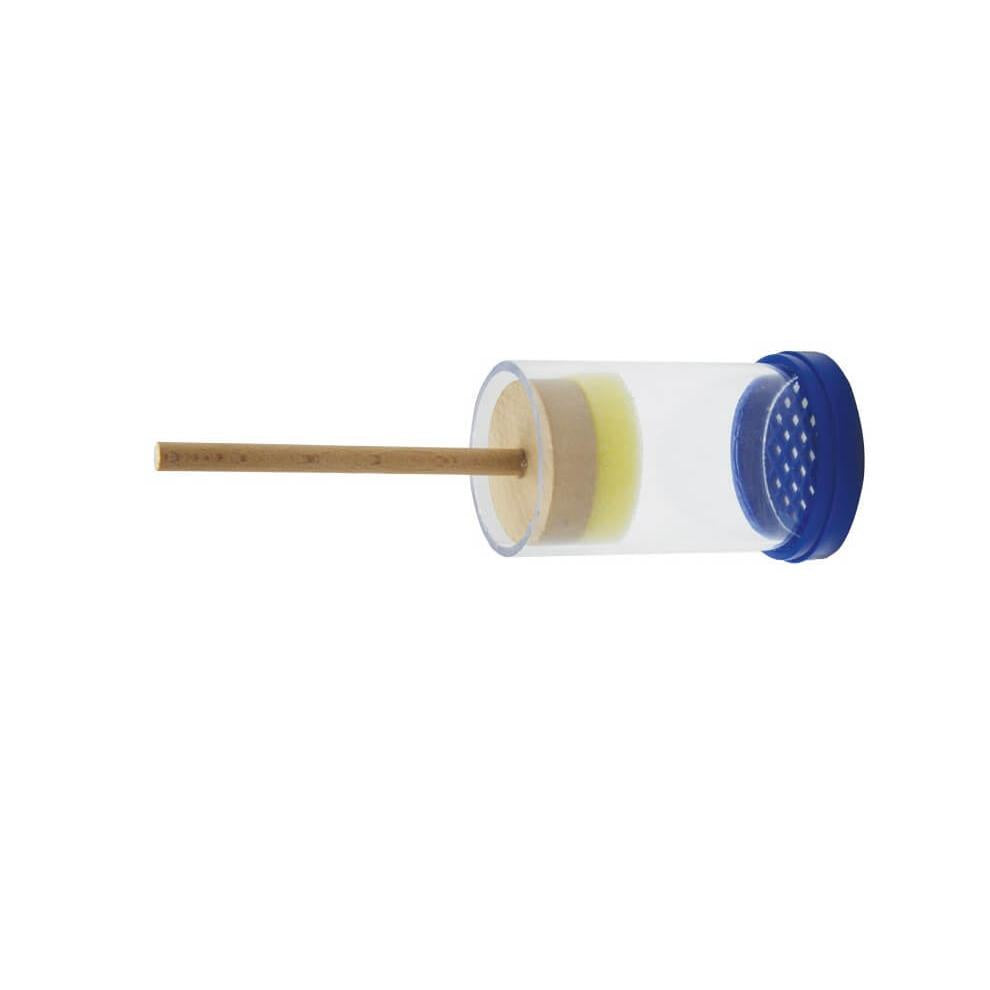 Queen marking tube